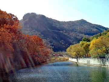 新澳天天开奖资料大全旅游团，康宝莱奶昔减肥怎么样